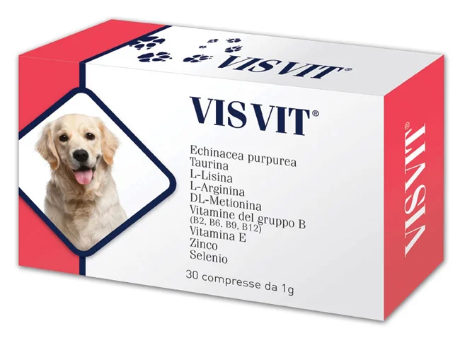 dottorbianchi1-2080617
