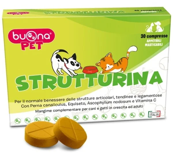 dottorbianchi2-2072954