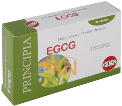 farmaciainlinea-2136470