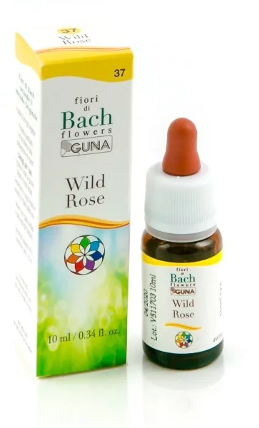 farmaciainlinea-2158422