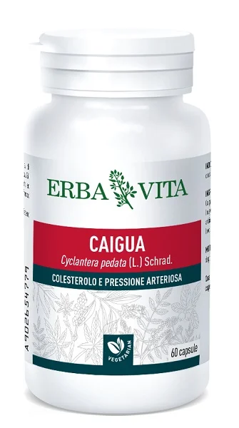 farmaciainlinea-2171497