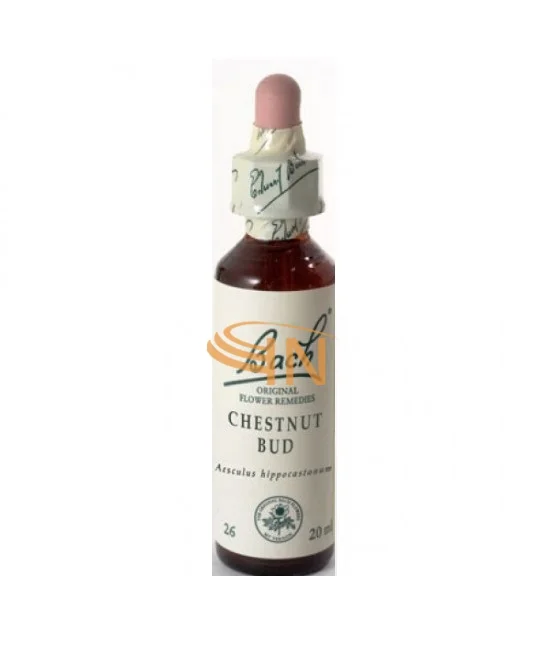 farmaciainlinea-2177586