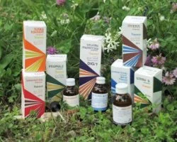 farmaciainlinea-2211411