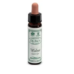 farmaciainlinea-2233242