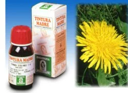 farmaciainlinea-2246943