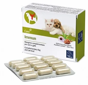 farmaciainlinea-2270834