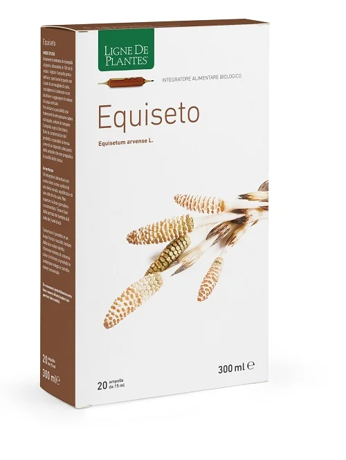 farmaciainlinea-2275532
