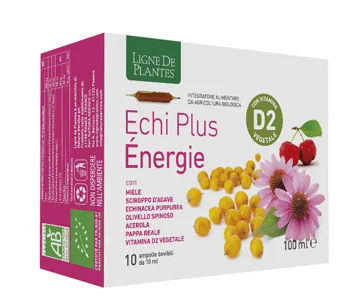 farmaciainlinea-2285317
