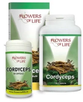 farmaciainlinea-2286439