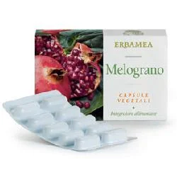 farmaciastornelli22092458