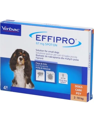 farmaciatrampetti-2180208
