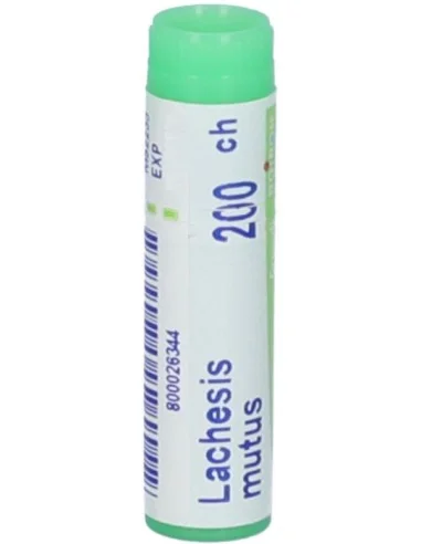 farmaciatrampetti-2182011