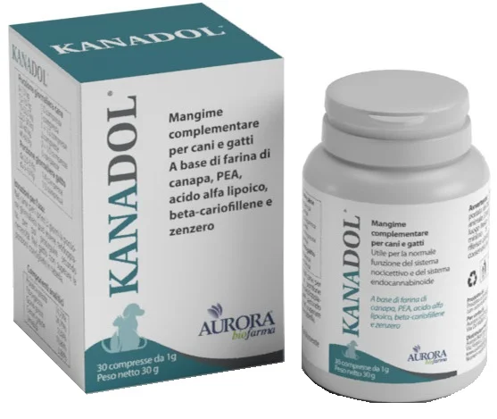 farmasconti1-2153262