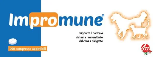 farmasconti1-2191454