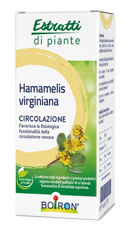 farmasconti1-2225282
