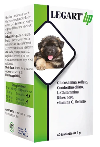 farmasconti2-2215354