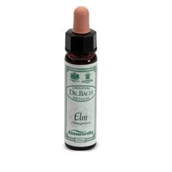 farmasconti3-2129542