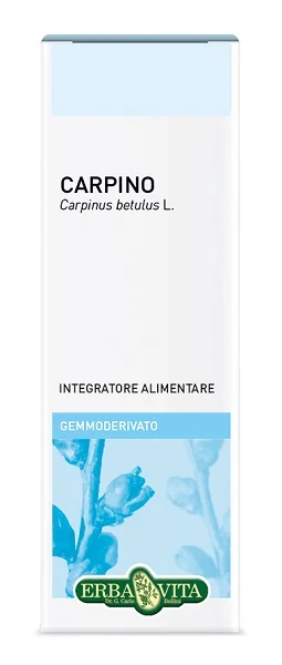 farmasconti3-2196379