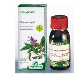 farmasconti3-2235204